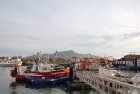 SaintJeandeLuz_le_port_avec_la_Rhune_en_toile_de_fond._Harrieta171._2007._Licence_CCbysa_3.0.jpg